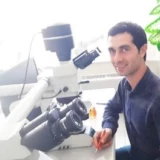 Dr. Elmir Quluyev Profile Photo
