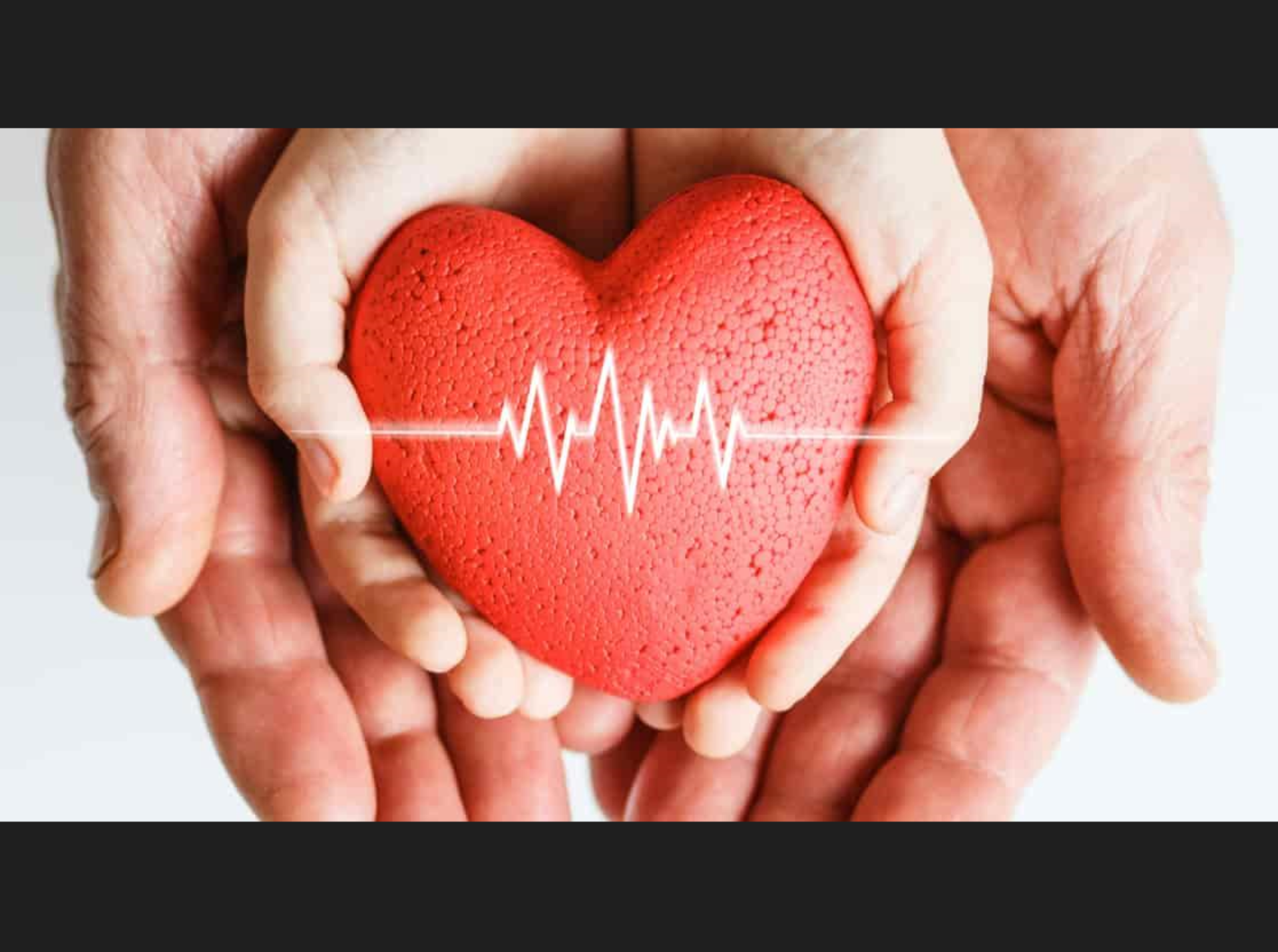 Sağlam ürək, sağlam həyat naminə makalesi