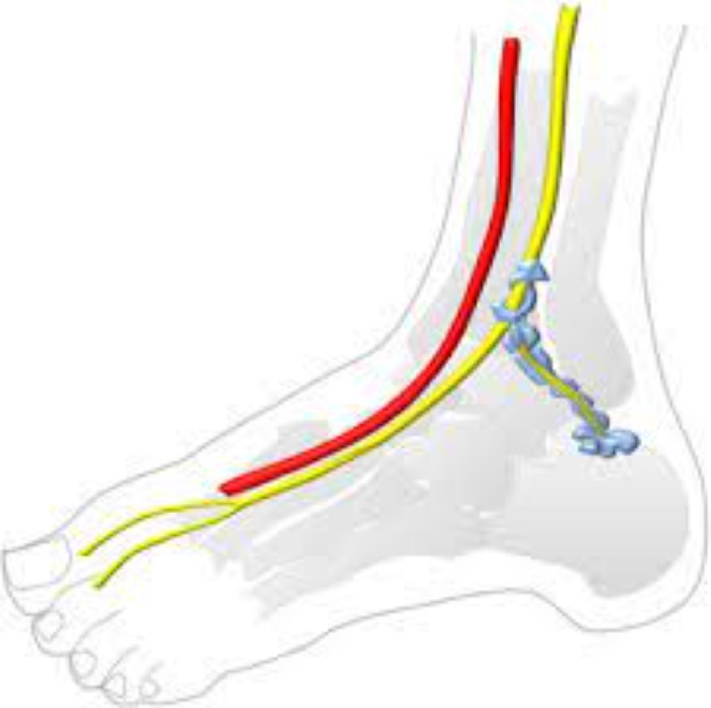 Anomaliyalar və deformasiyalar haqqında
