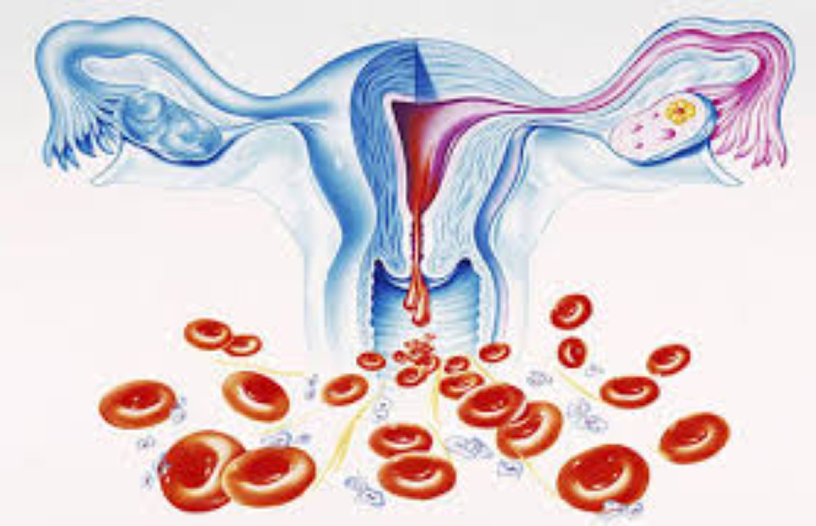 Aybaşılar arası qanaxma