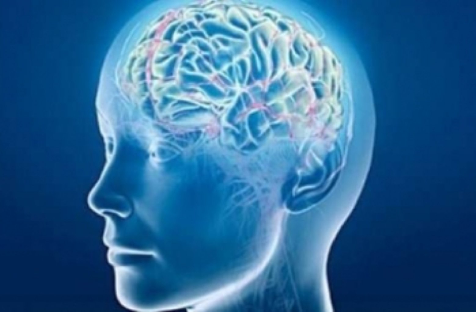 Baş-beyin travmaları