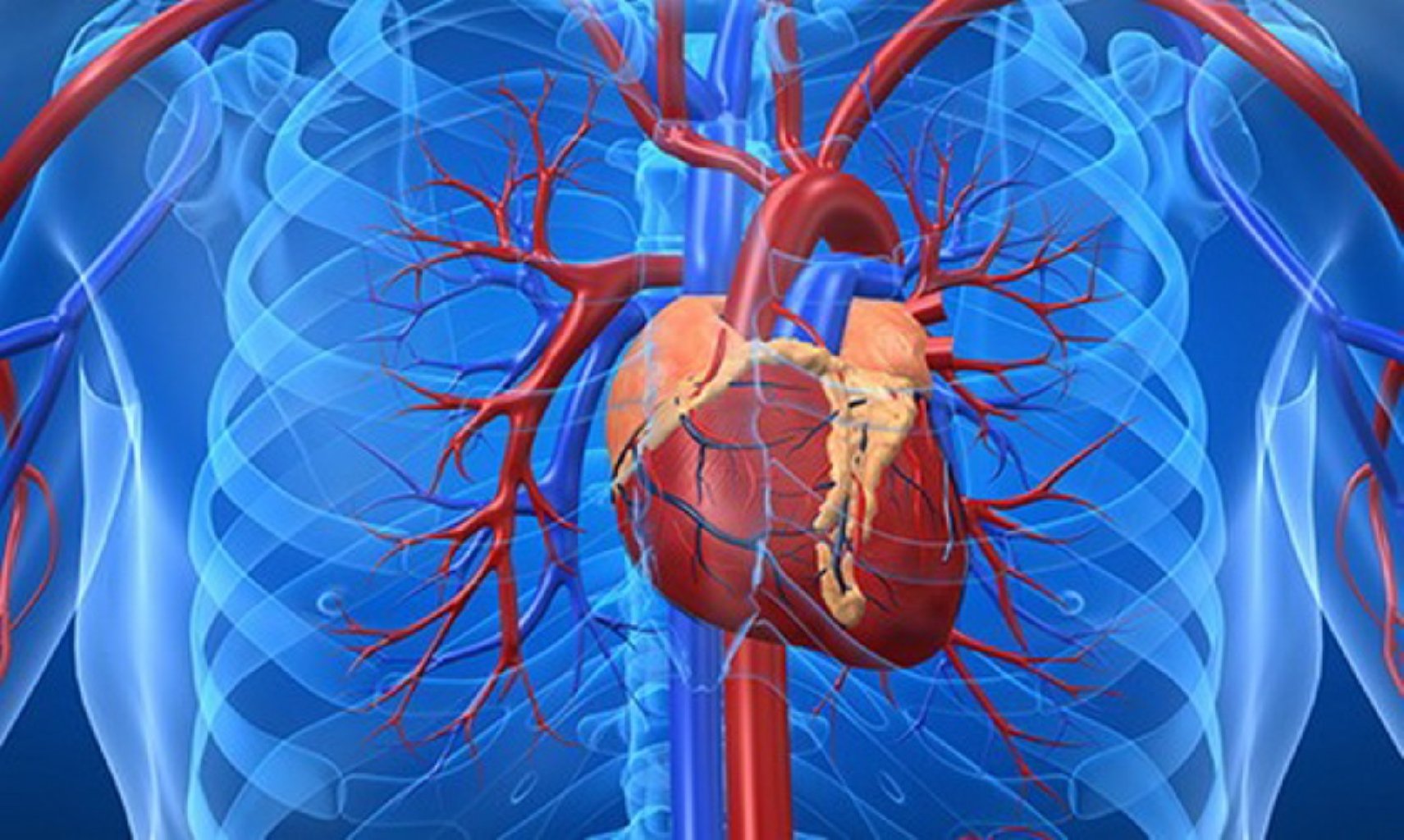 Yüksək qan təzyiqi və xroniki ürək çatışmazlığı da daxil olmaqla ürək-damar xəstəlikləri