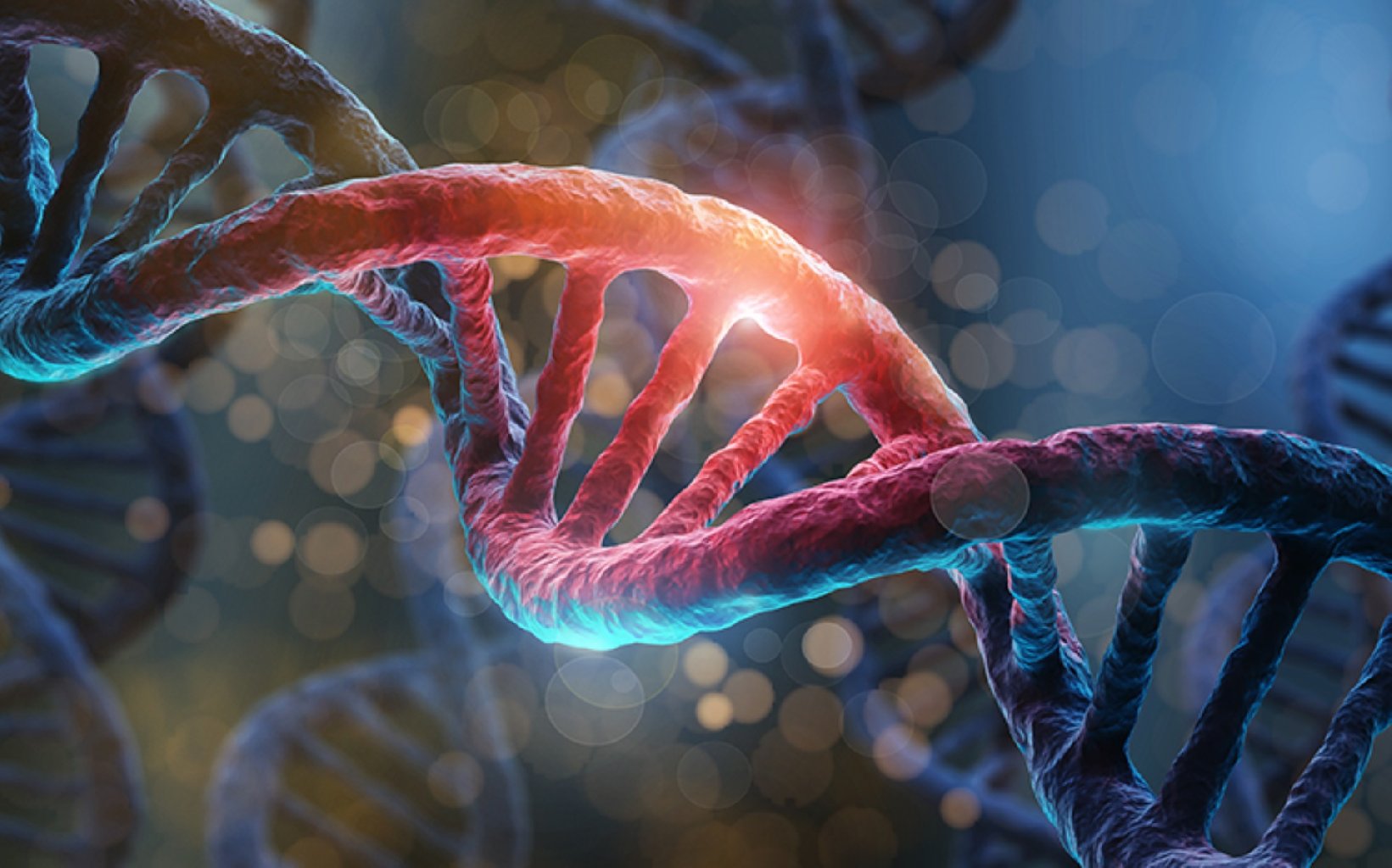 İrsi xəstəliklər: Genetik irsiyyət və sağlamlığa təsiri