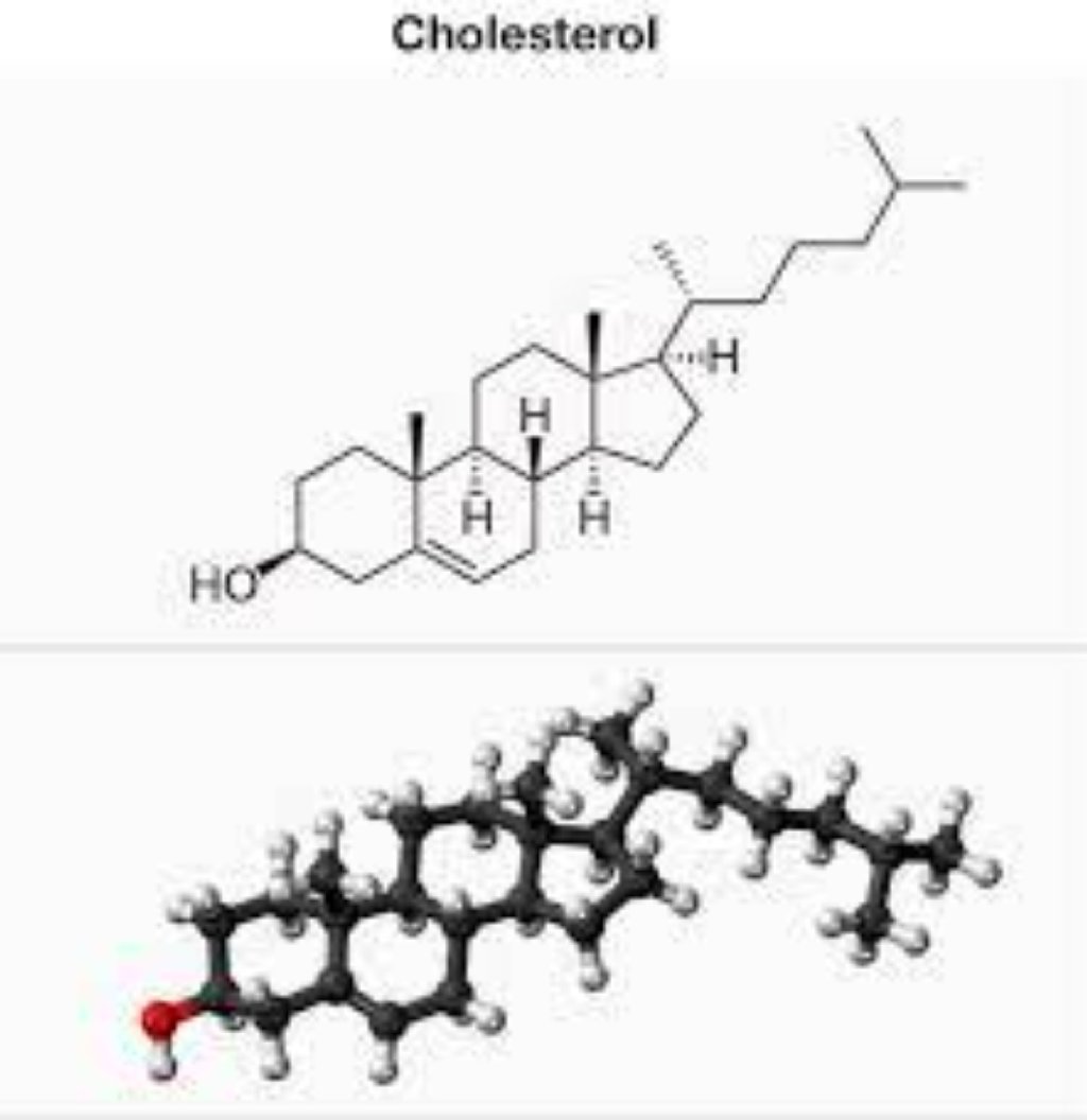 Xolesterol və trigliseridlər kimi qan yağlarında artım