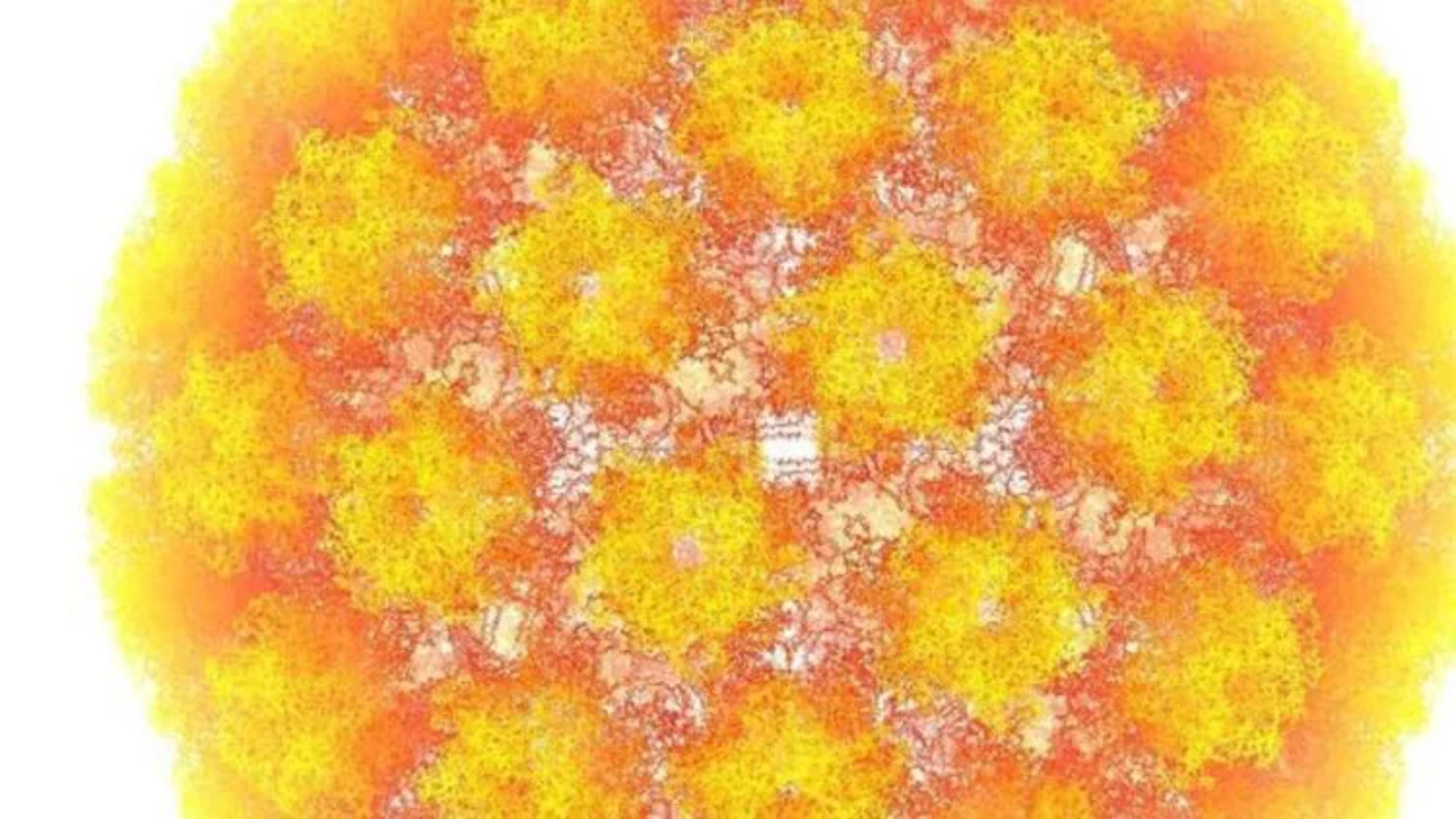 Genital herpes nədir və simptomları nələrdir? Müalicə və profilaktika üsulları