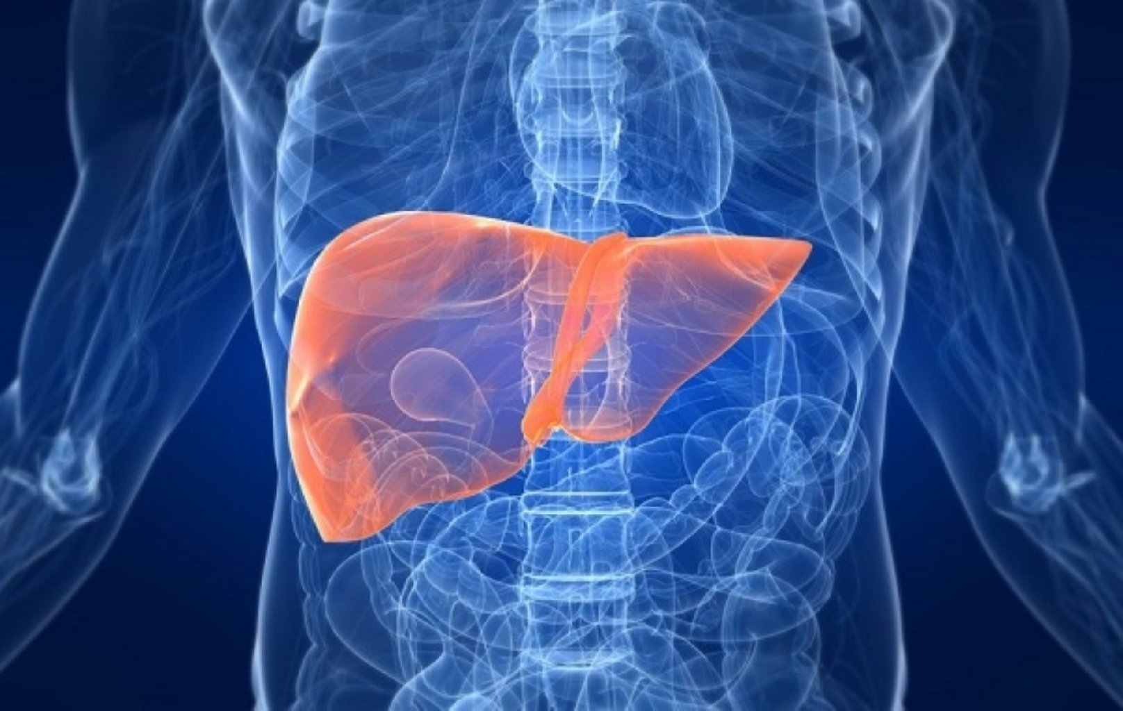 Qaraciyər Transplantasiyası: Proses, Səbəblər və Nəticələr